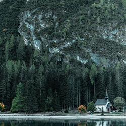 Scenic view of lake by built structure and trees