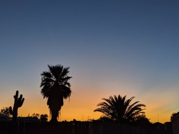 Silhouette palm trees against sky during sunset