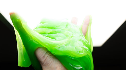 Close-up of hand holding leaf over white background