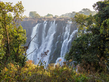Scenic view of victoria falls in forest against clear sky