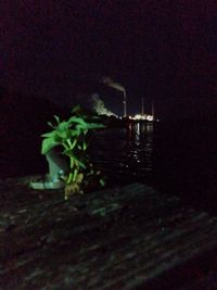 View of illuminated plants on table at night