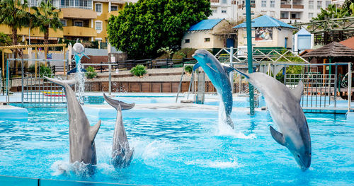 Swimming pool in water