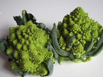 High angle view of romanesco broccoli on white background