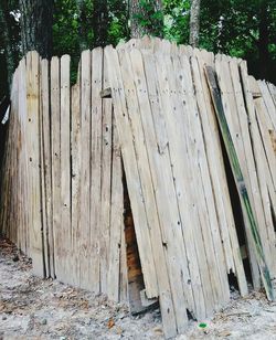 Close-up of wood against trees