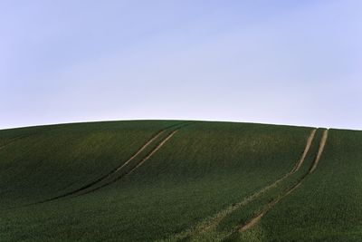 Scenic view of field against clear sky