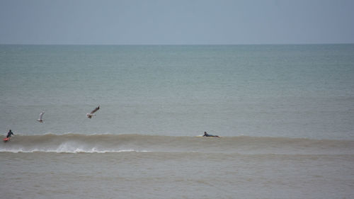 Scenic view of sea against clear sky