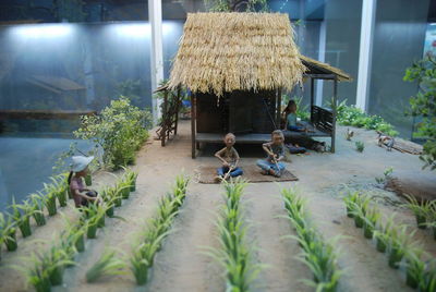 Panoramic view of plants outside house