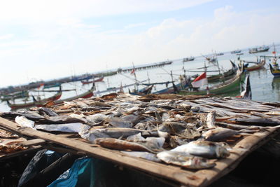 Fishing boats at harbor