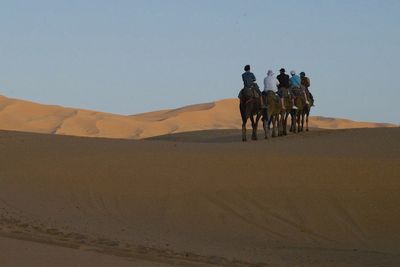 People riding in desert