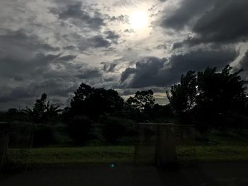 Trees against cloudy sky