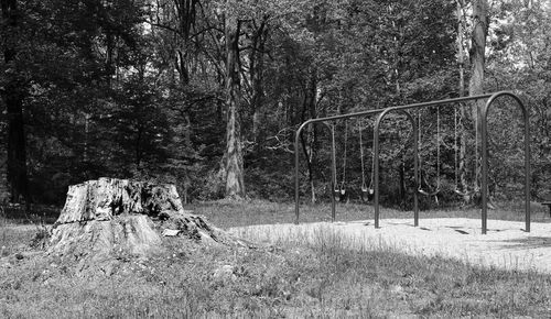 Trees against clear sky