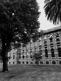 Low angle view of trees and buildings against sky