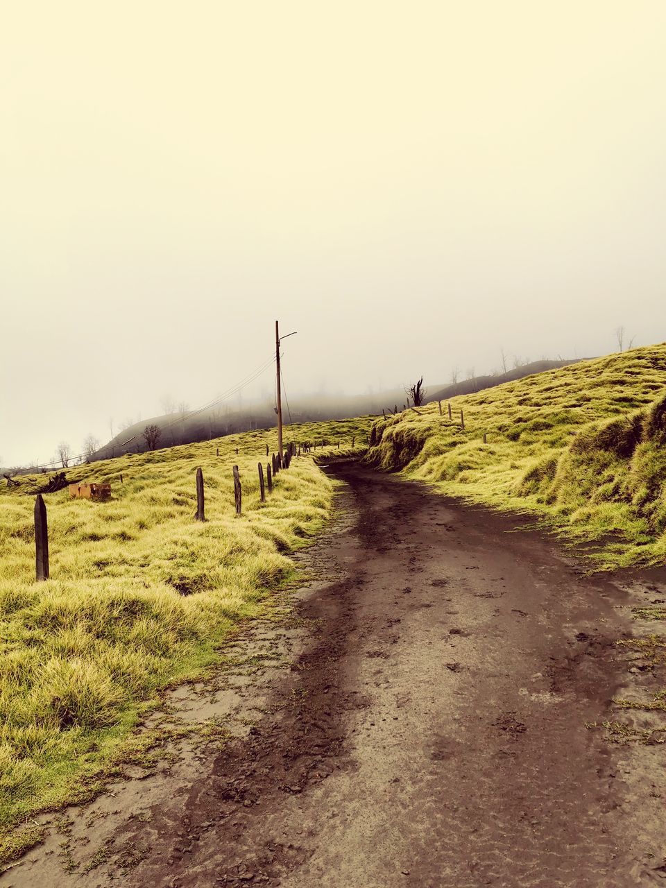 sky, grass, environment, landscape, road, field, the way forward, direction, tranquil scene, land, nature, no people, transportation, tranquility, clear sky, non-urban scene, plant, copy space, day, scenics - nature, diminishing perspective, outdoors, trail