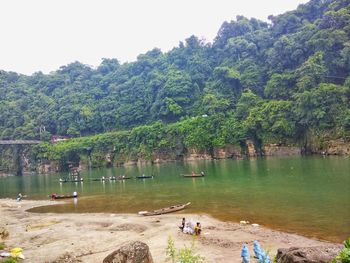 Scenic view of lake and trees