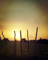 View of landscape at sunset