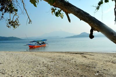 Outrigger canoe moored in sea