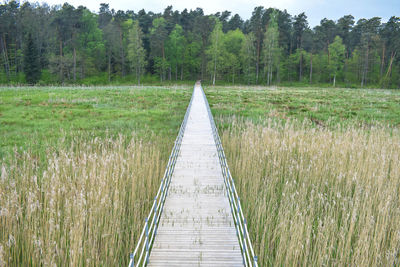 Boardwalk leading towards trees on field