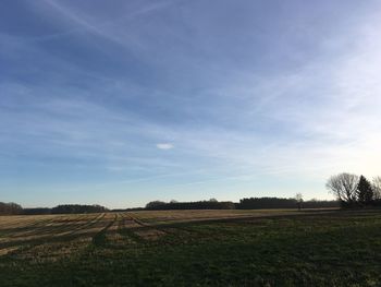 Scenic view of field against sky