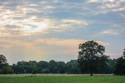 Scenic view of field against sky during sunset