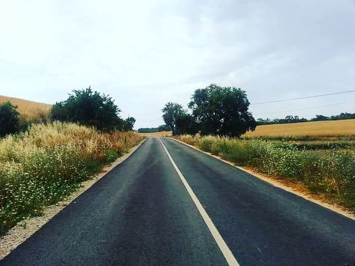 the way forward, road, sky, diminishing perspective, field, transportation, landscape, country road, tree, grass, vanishing point, tranquility, tranquil scene, growth, nature, road marking, empty road, long, rural scene, scenics