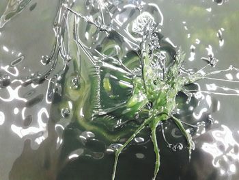 Close-up of rippled water