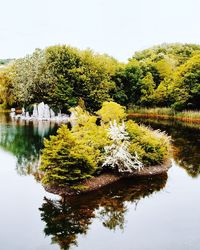 Reflection of trees in lake against clear sky