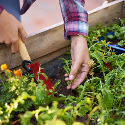 Low section of person gardening