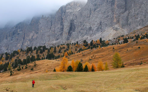 Mountain peaks of langkofel or saslonch, mountain range in the dolomites covered with fog sunrise. 