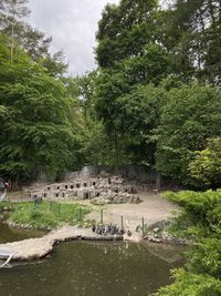 Scenic view of garden by lake against sky