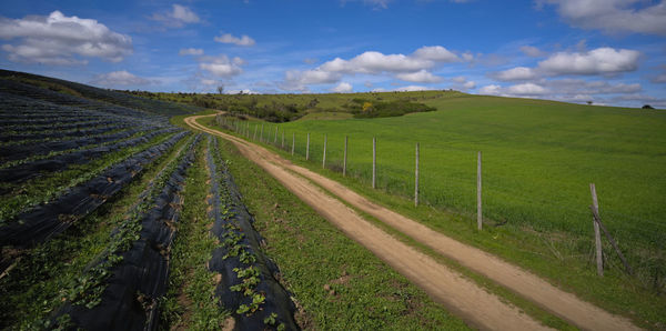 landscape
