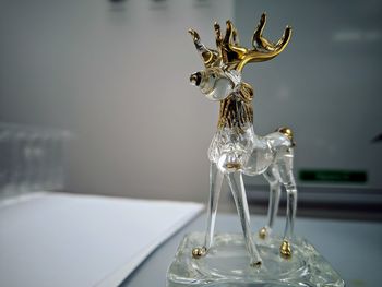 Close-up of deer on table against wall