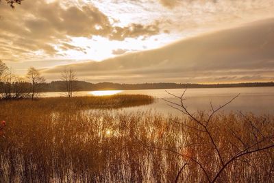 Scenic view of lake at sunset