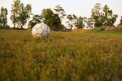 View of soccer ball on field against trees