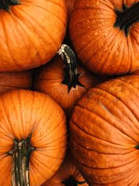 Full frame shot of pumpkins at market