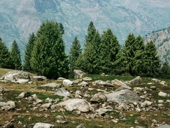 Scenic view of rocks