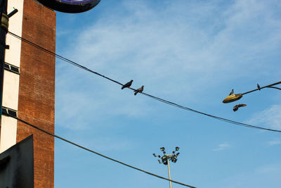 Low angle view of birds flying against sky