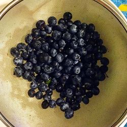 Close-up of food in bowl