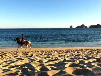 Man horseback riding on sand against sea at beach