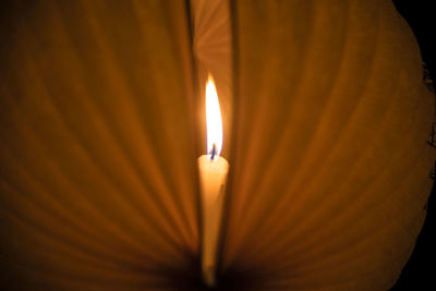 Close-up of illuminated lamp in darkroom