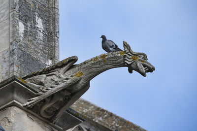 Low angle view of bird perching on a gothic gargoyle 
