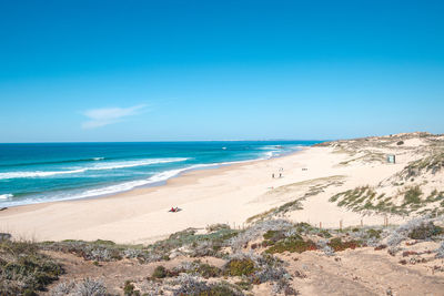 Scenic view of beach against clear blue sky