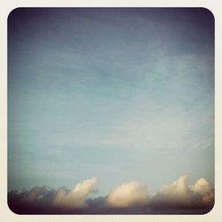 Low angle view of trees against sky