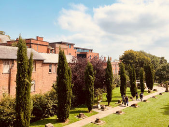 Panoramic shot of trees and buildings against sky
