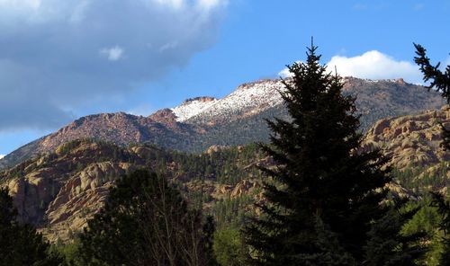 Low angle view of tree mountain against sky