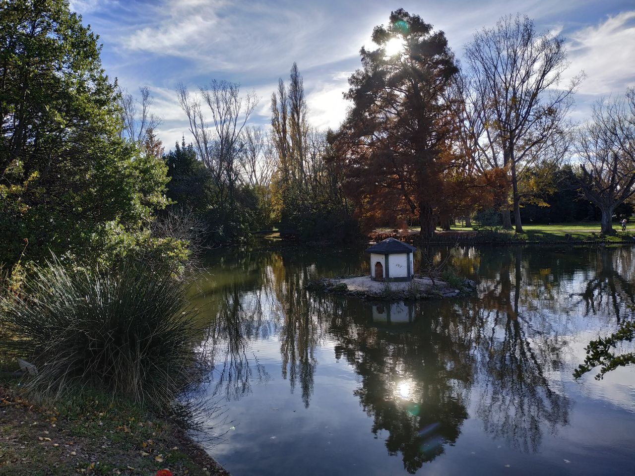 LAKE AND TREES AGAINST SKY