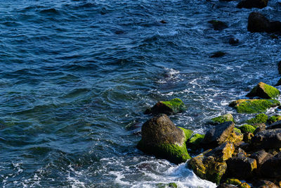 High angle view of rocks in sea