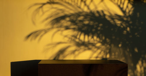 Black display platform and sunset palm leaf shadow background.