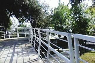 railing, tree, metal, fence, wood - material, built structure, steps, architecture, metallic, footbridge, protection, day, wooden, safety, gate, growth, no people, outdoors, security, steps and staircases