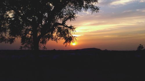 Silhouette trees on landscape against romantic sky at sunset