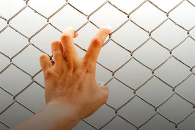 Close-up of hand holding chainlink fence